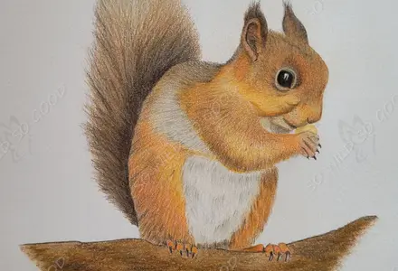 a squirrel sitting on a branch hoding a nut in its paws